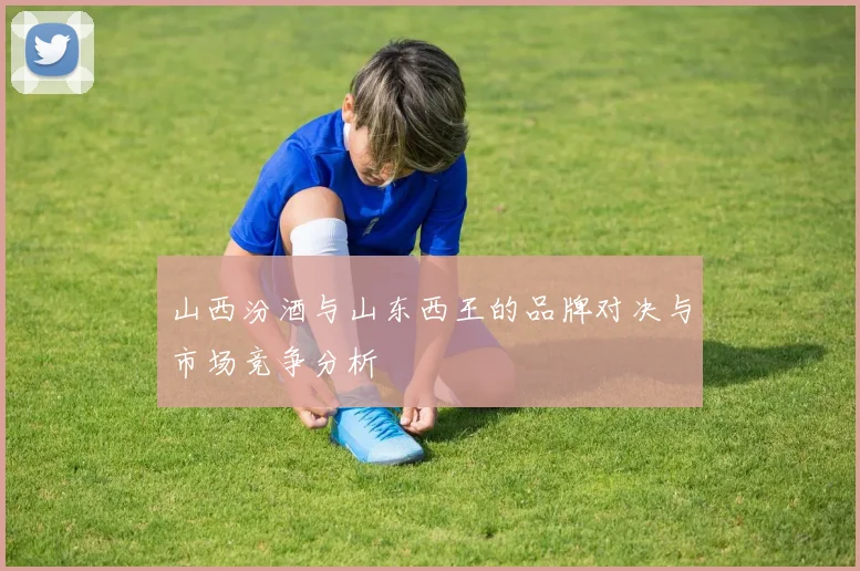 山西汾酒与山东西王的品牌对决与市场竞争分析