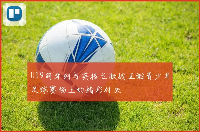 U19匈牙利与英格兰激战正酣青少年足球赛场上的精彩对决