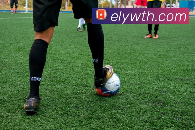 多媒体互动体验